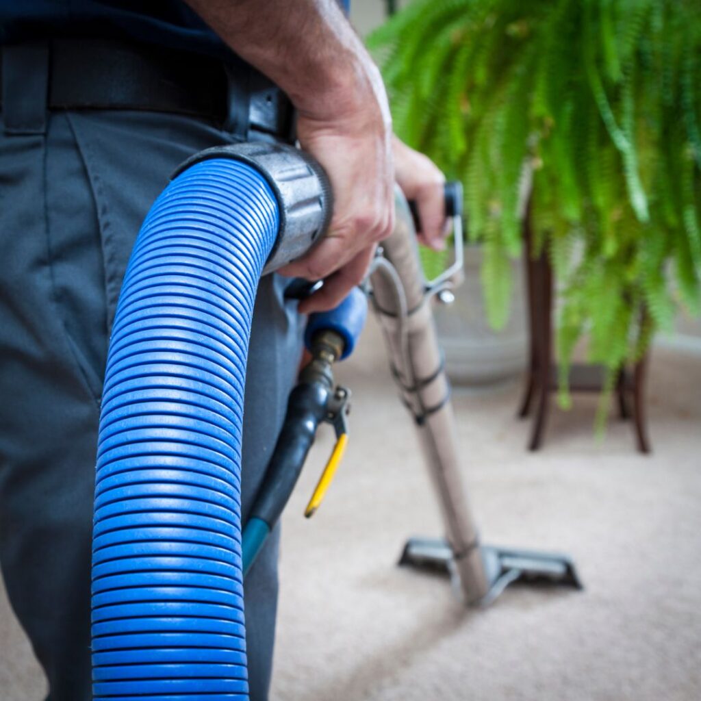rug Cleaner - rug Cleaning near me London. Hi Carpet Cleaner - Rug Cleaning London